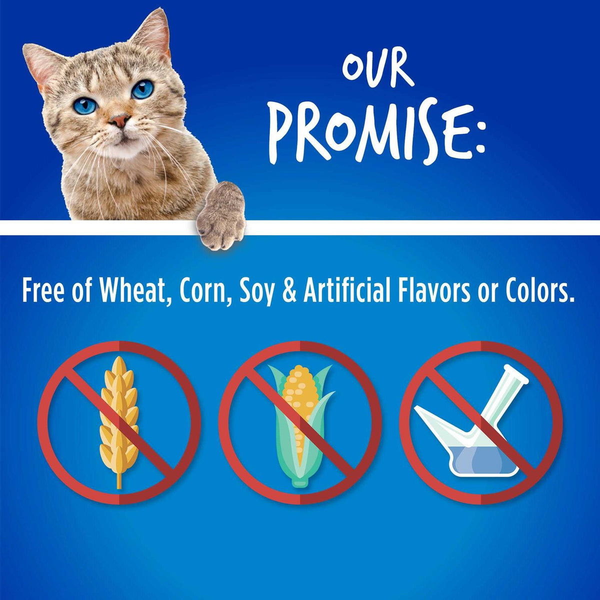 Chicken Blueberry Cat Treats B9149