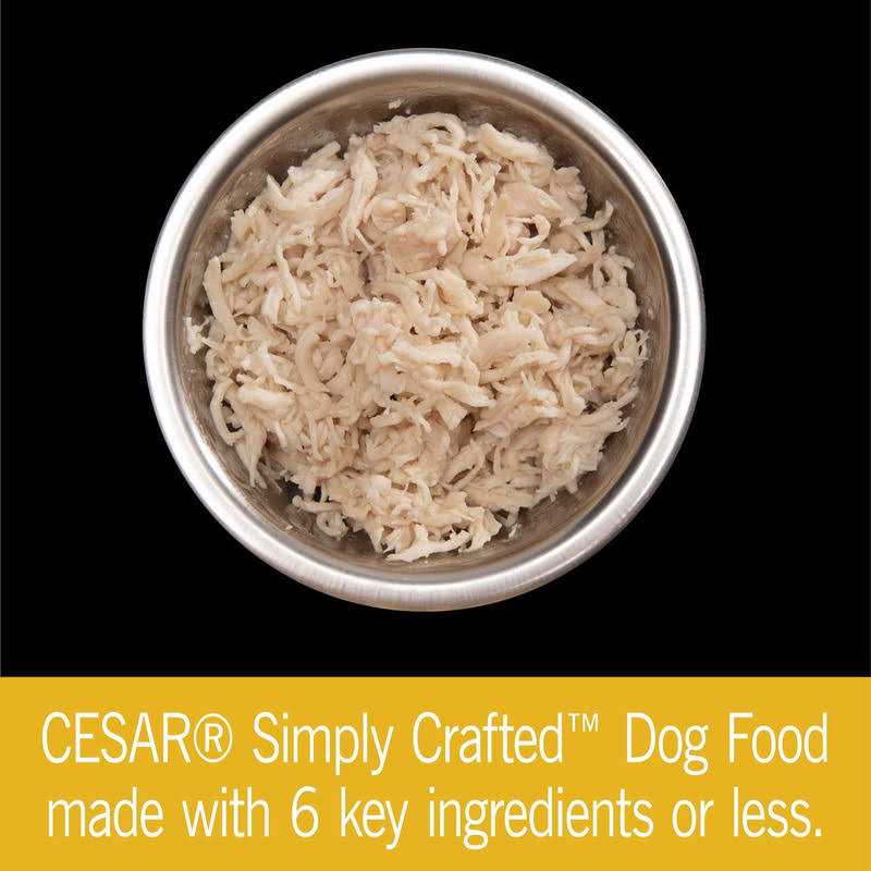 Chicken Wet Dog Food K5201