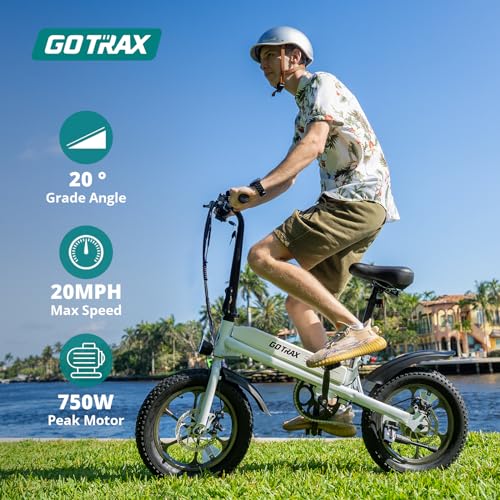 16x3.0 Fat Tire 750W Folding Electric Bike Z383