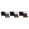 Compact Powder Highlighter 3 Pc Kit Y16118