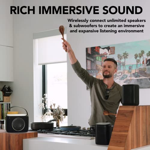 Wireless Portable Subwoofer with Carry Strap P8376