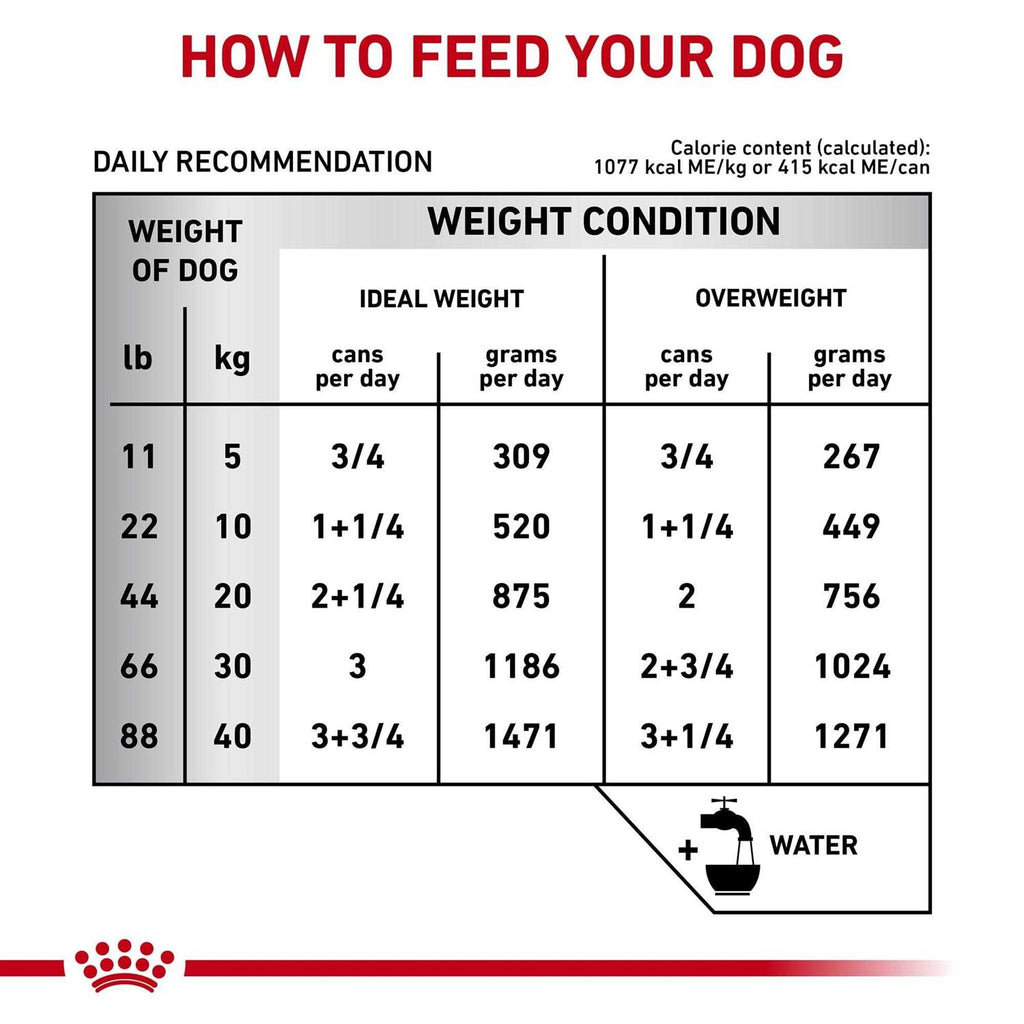 Canned Dog Food U908827