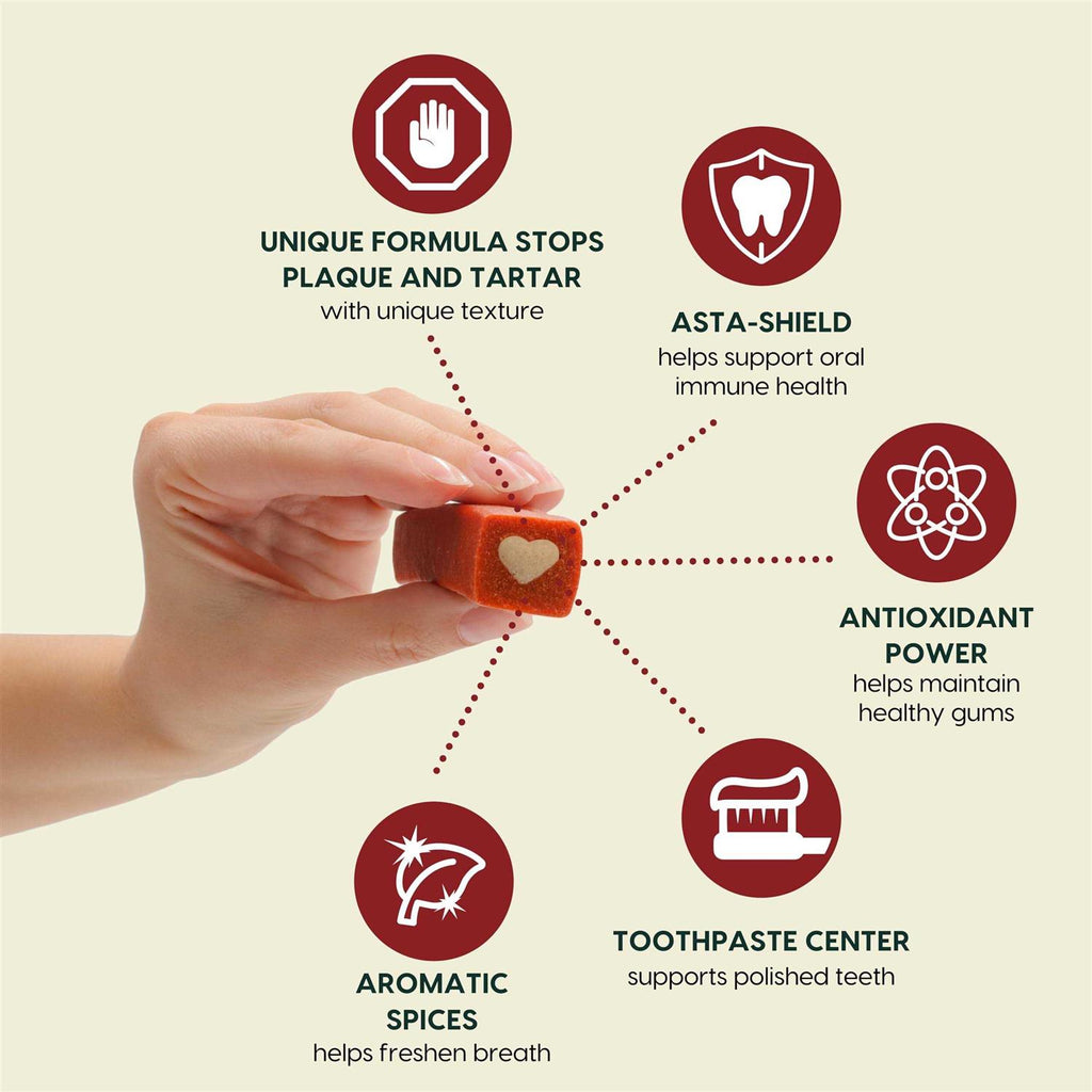 Brushless Toothpaste Dental Dog Chews E741