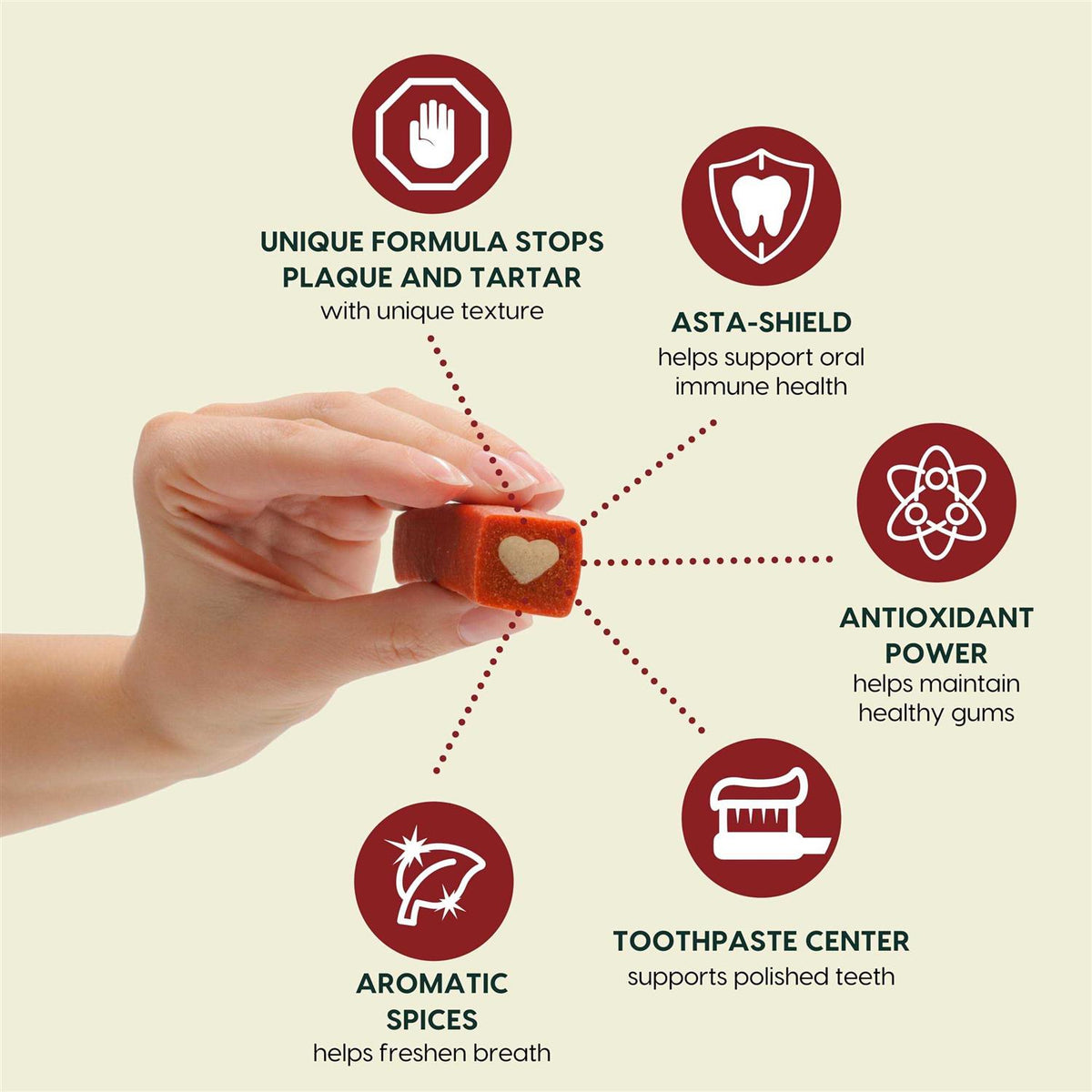 Brushless Toothpaste Dental Dog Chews E741