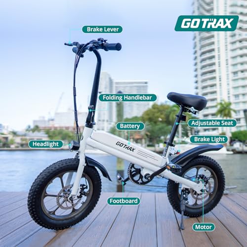 16x3.0 Fat Tire 750W Folding Electric Bike Z383