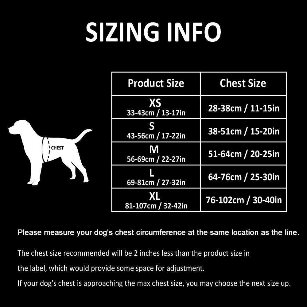 Reflective Dog Harness and Leash Z6834
