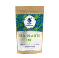 Vegan Capsules U7209