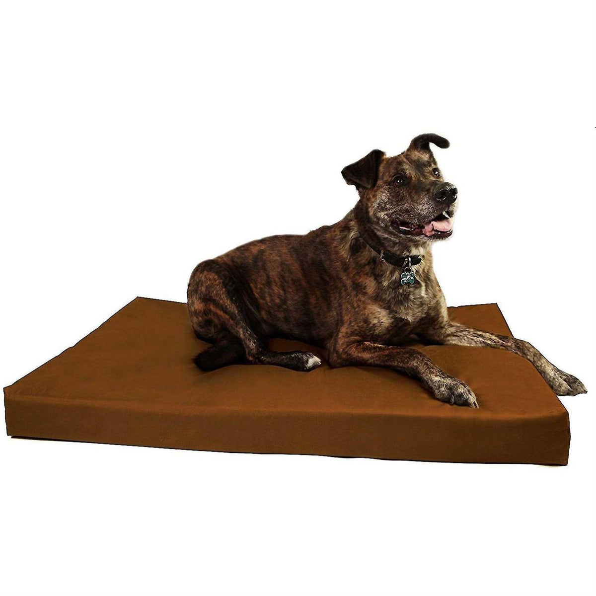 Orthopedic Crate Bed C613325