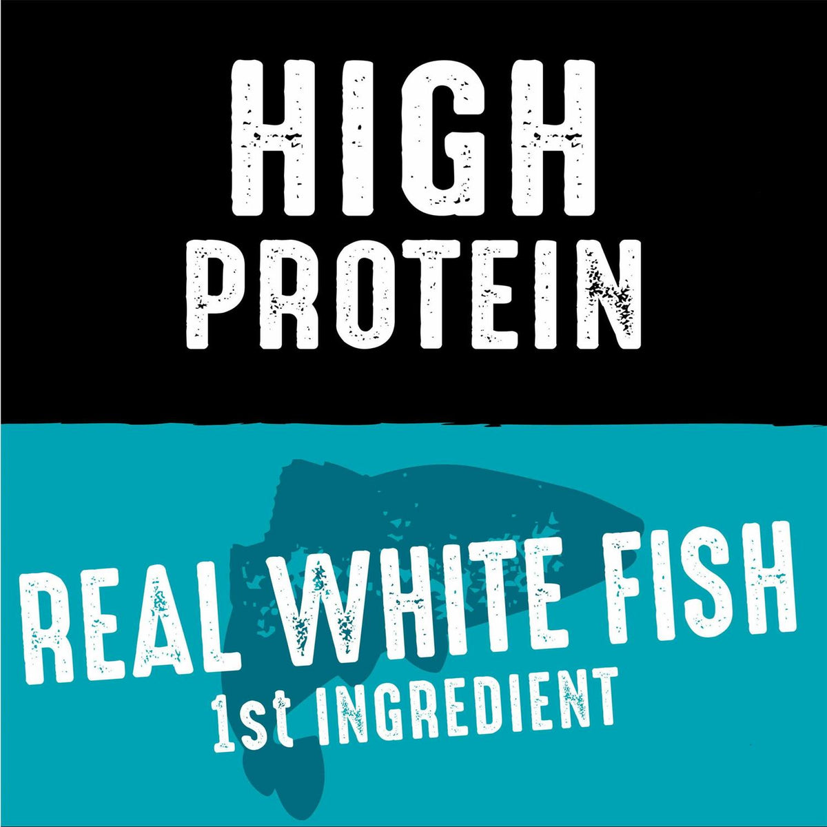 Grain Free Adult Dry Dog Food with Protein J693997