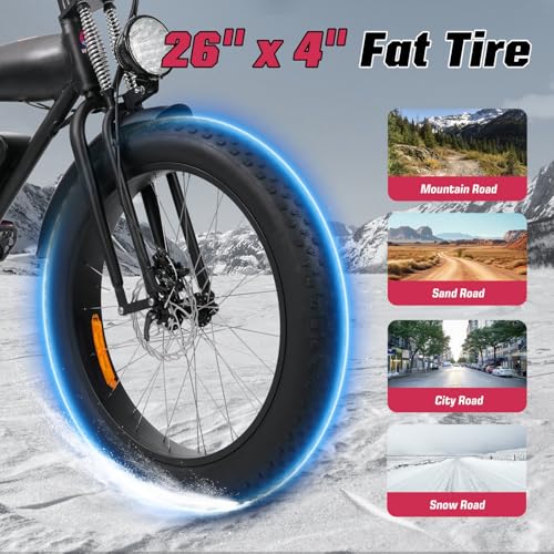 Electric Bike 48V 13Ah 750W 20" Fat Tires UL Certified D459526