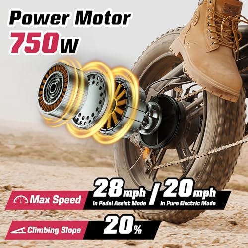 Electric Bike 48V 13Ah 750W 20" Fat Tires UL Certified D459526