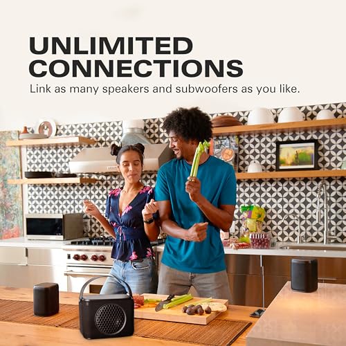 Wireless Portable Subwoofer with Carry Strap P8376