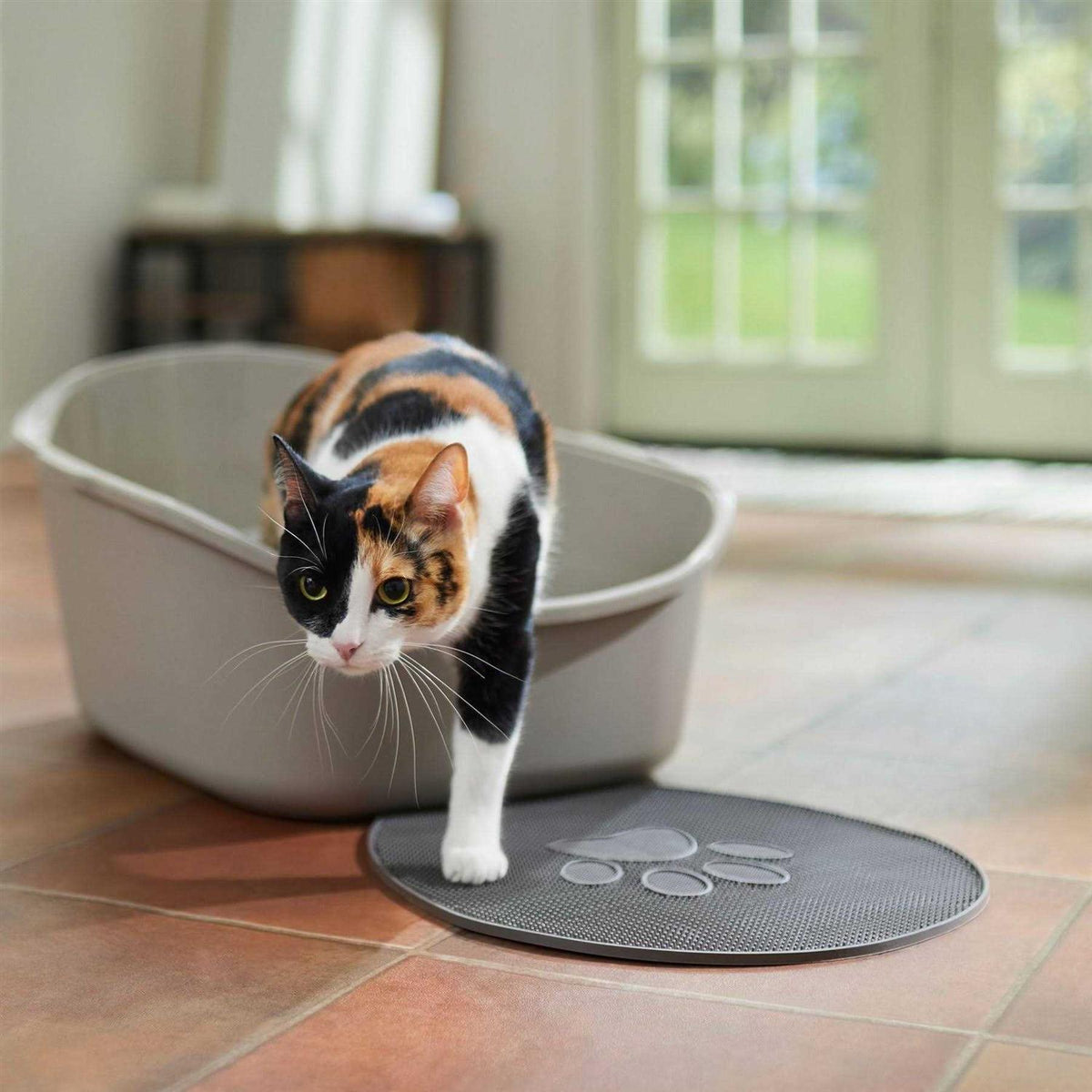 High Back Cat Litter Box F4868
