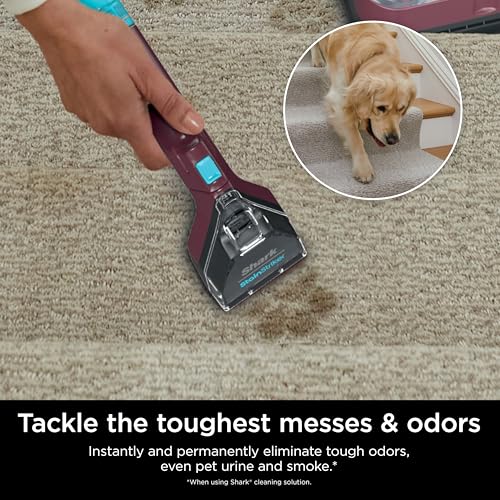 Portable Carpet Upholstery Area Rug Cleaner G56977