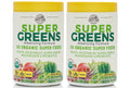 Organic Super Greens Apple Banana Powder Smoothie Drink Mix 2 Pack Y971709