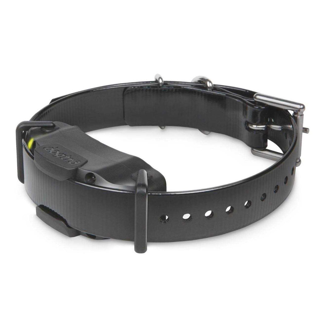 E Collar C449