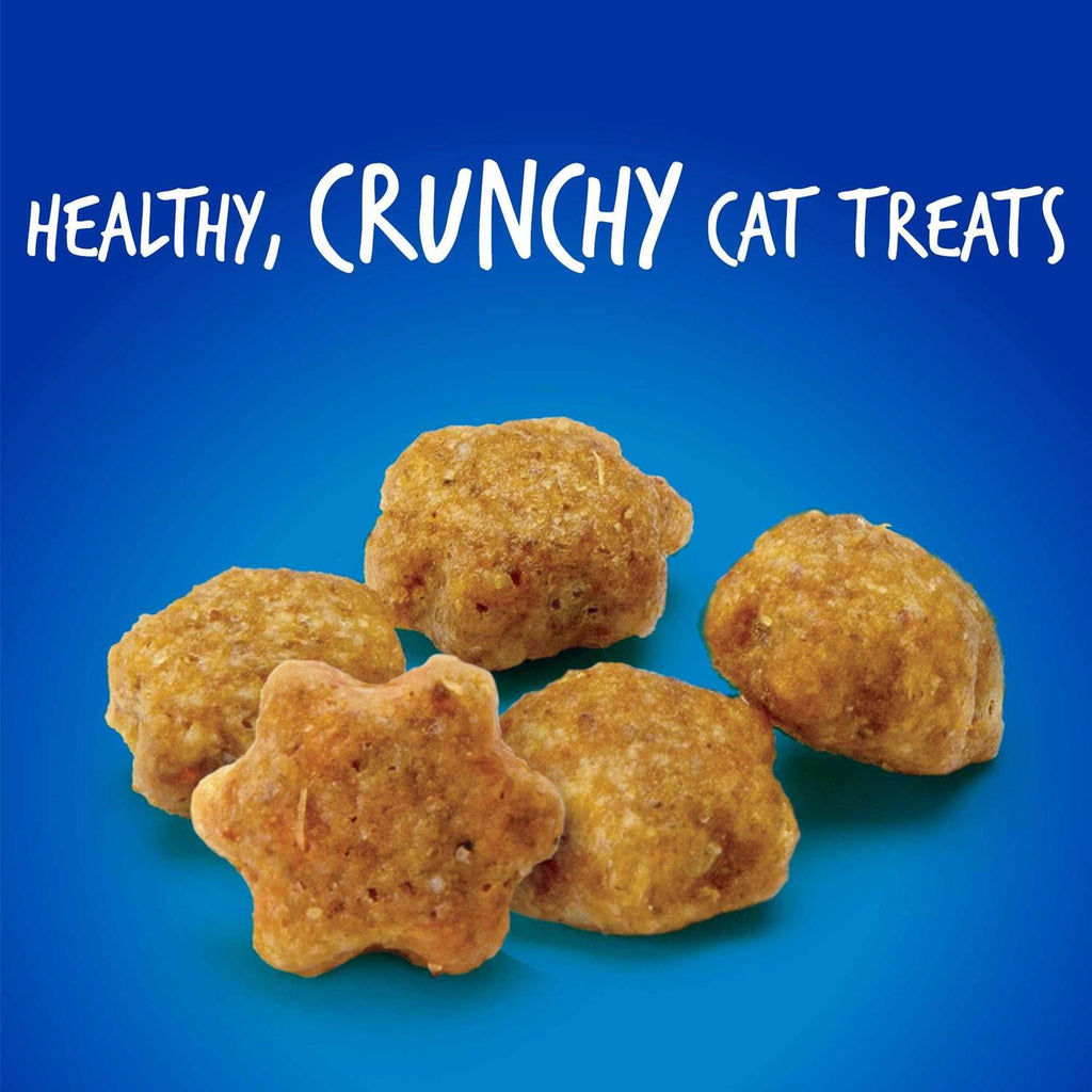 Chicken Blueberry Cat Treats B9149
