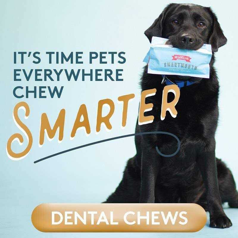 Smartmouth Dental Chews for Dogs M995