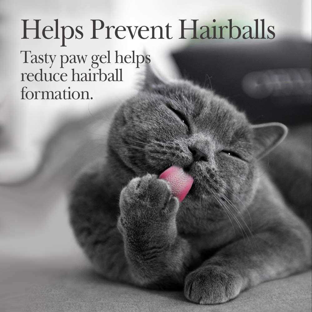Hairball Paw-Gel for Cats Chicken T646