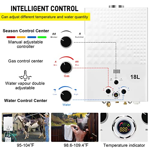 Portable Propane Tankless Water Heater with Digital Display D24896