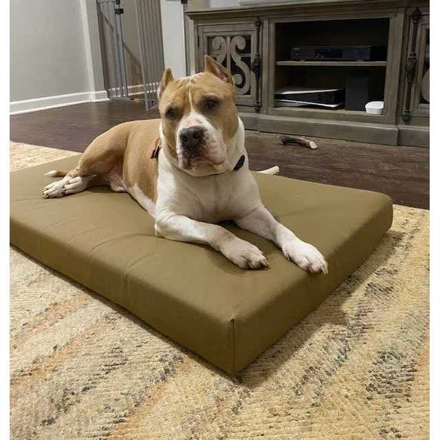 Orthopedic Crate Bed C613325