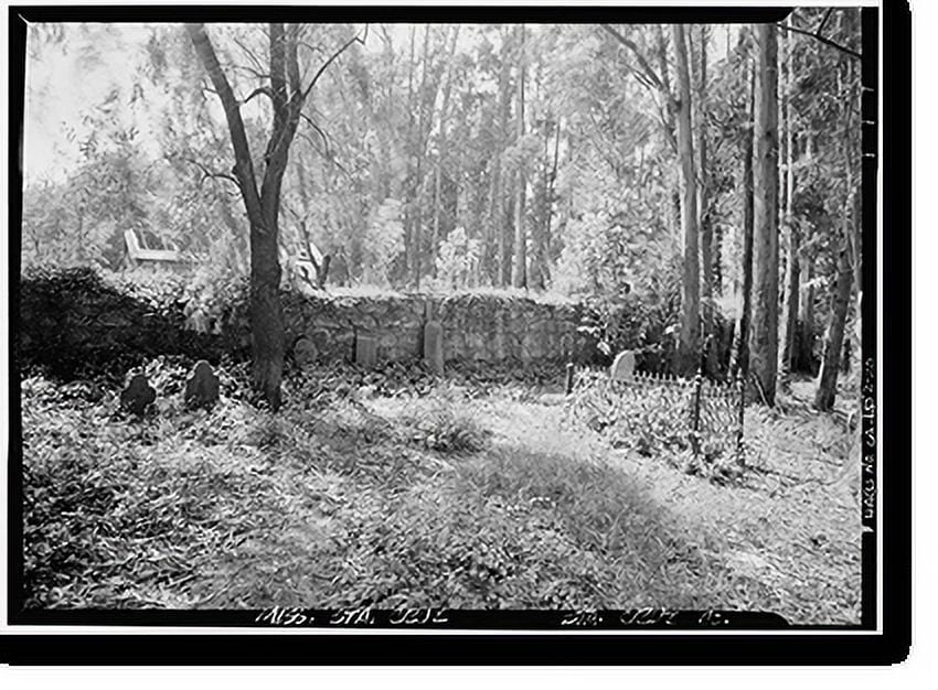 Framed Print T22101