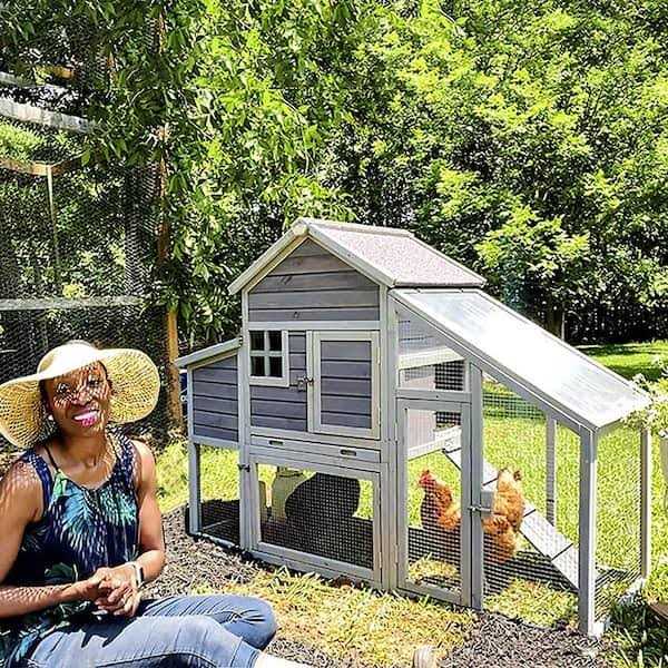 Wooden Chicken Coop E294723