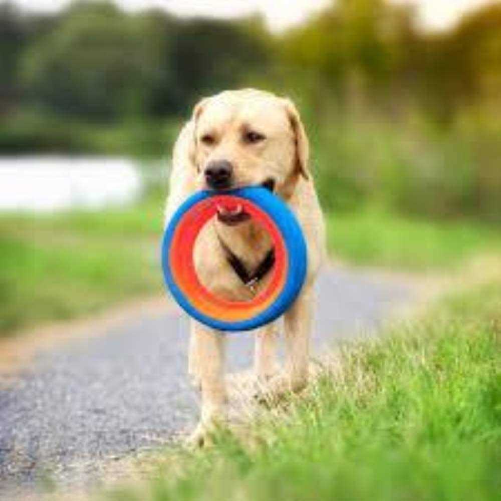 Dog Toy E1722