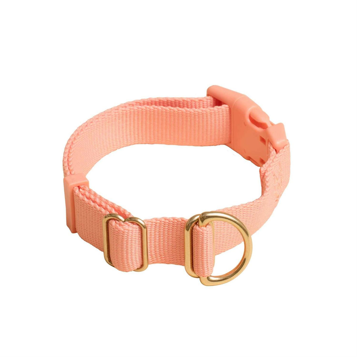 Standard Dog Collar R6981