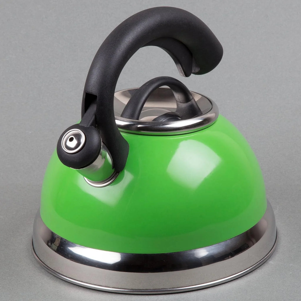 Green Stainless Steel Whistling Tea Kettle 2.6-Quart Q1870