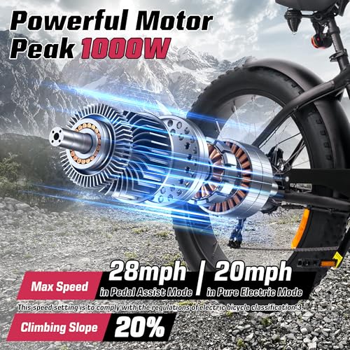 Electric Bike 48V 13Ah 750W 20" Fat Tires UL Certified D459526