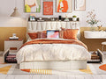 Beige Queen Upholstered Platform Bed Frame with 3 Drawers U903