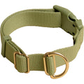 Standard Dog Collar R6981
