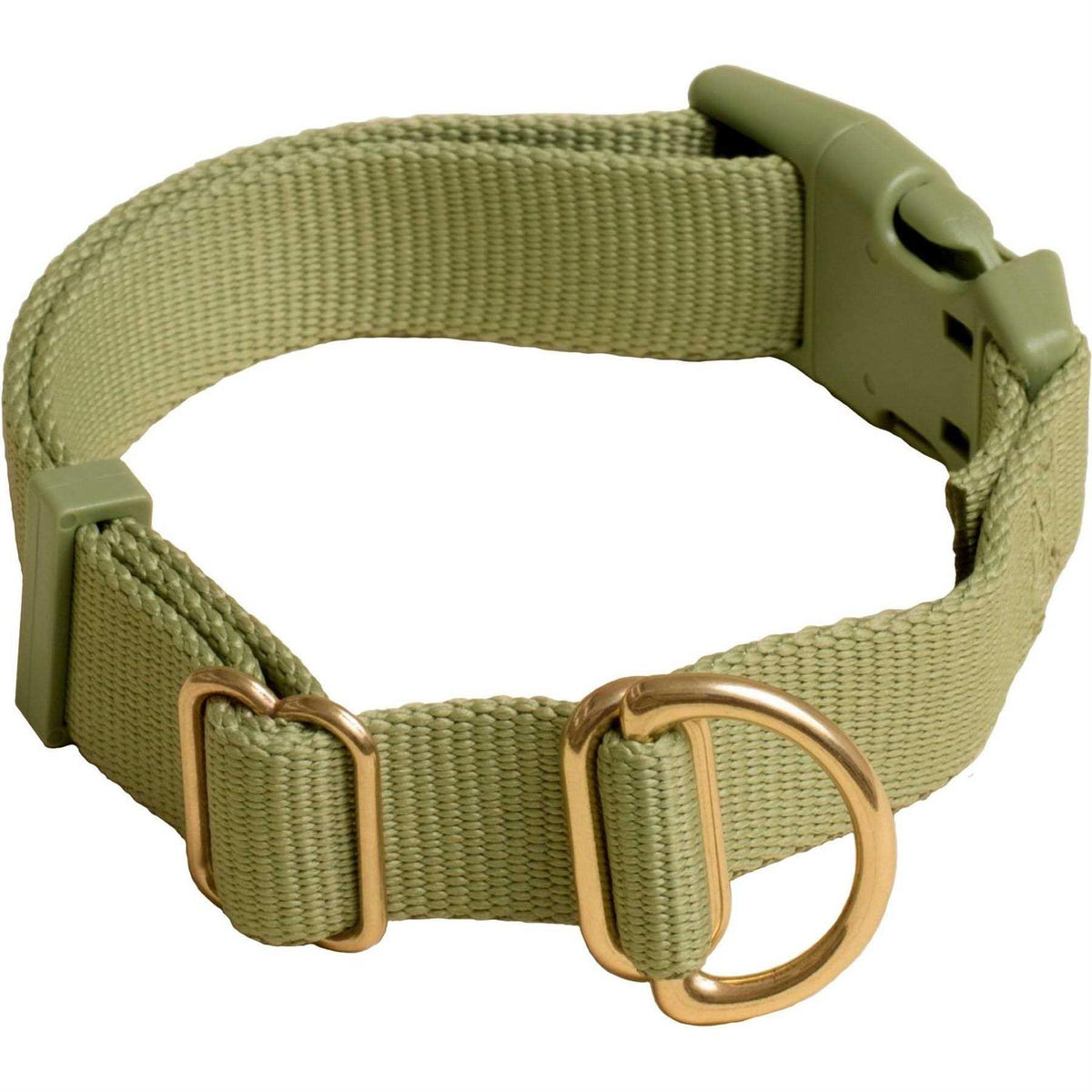 Standard Dog Collar R6981