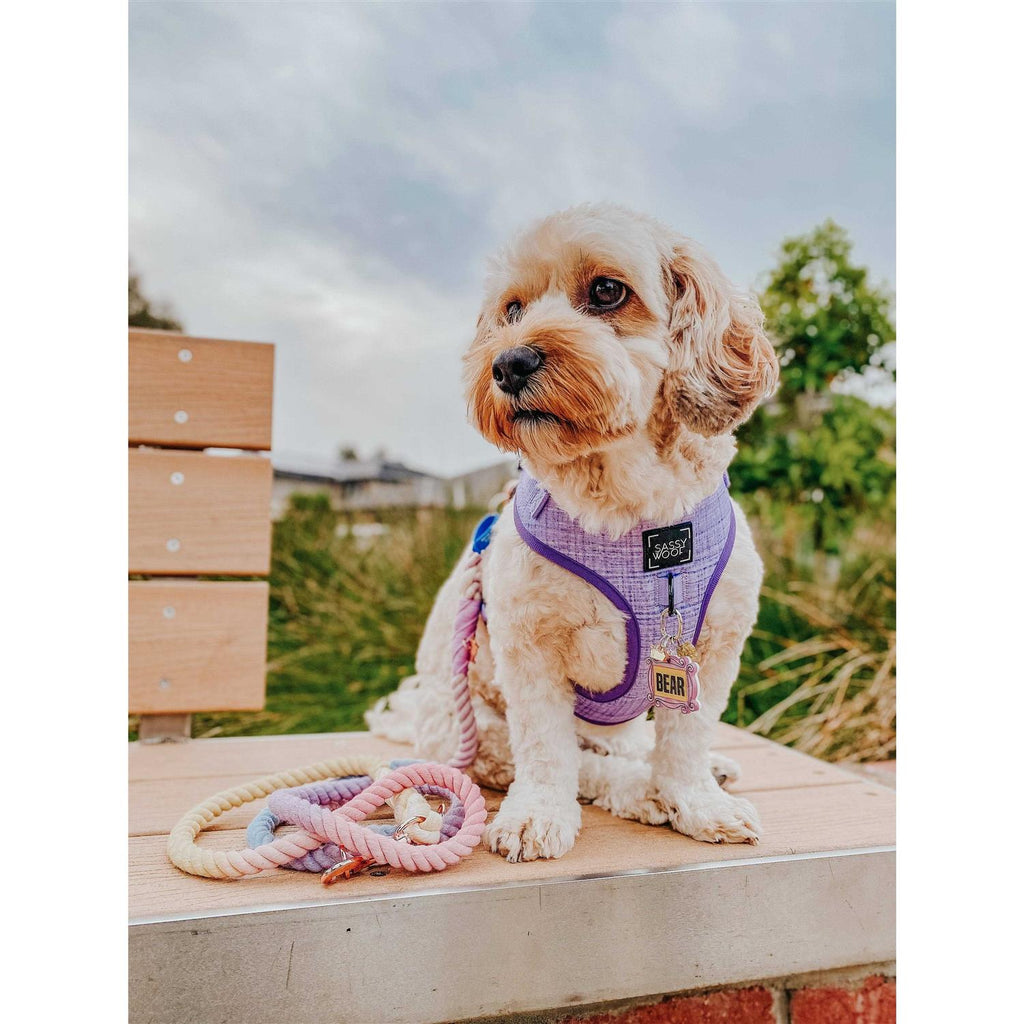 Dog Rope Leash E4606