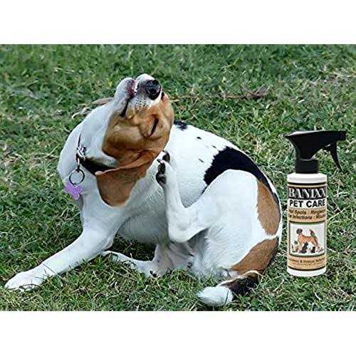 Pet Supplies L43020