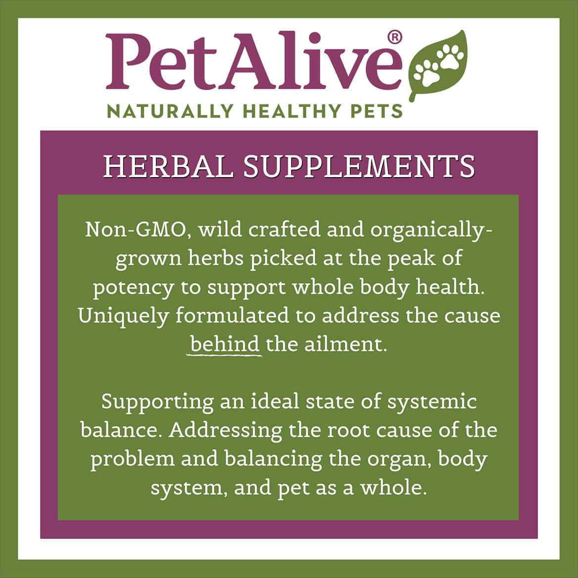 Prostate Health Dog Supplement G5412
