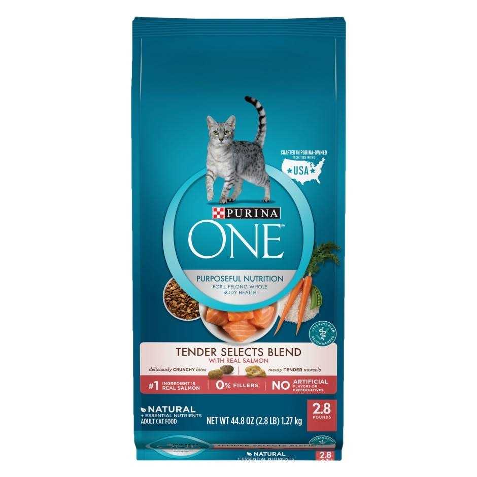 Dry Cat Food With Real Chicken X42239