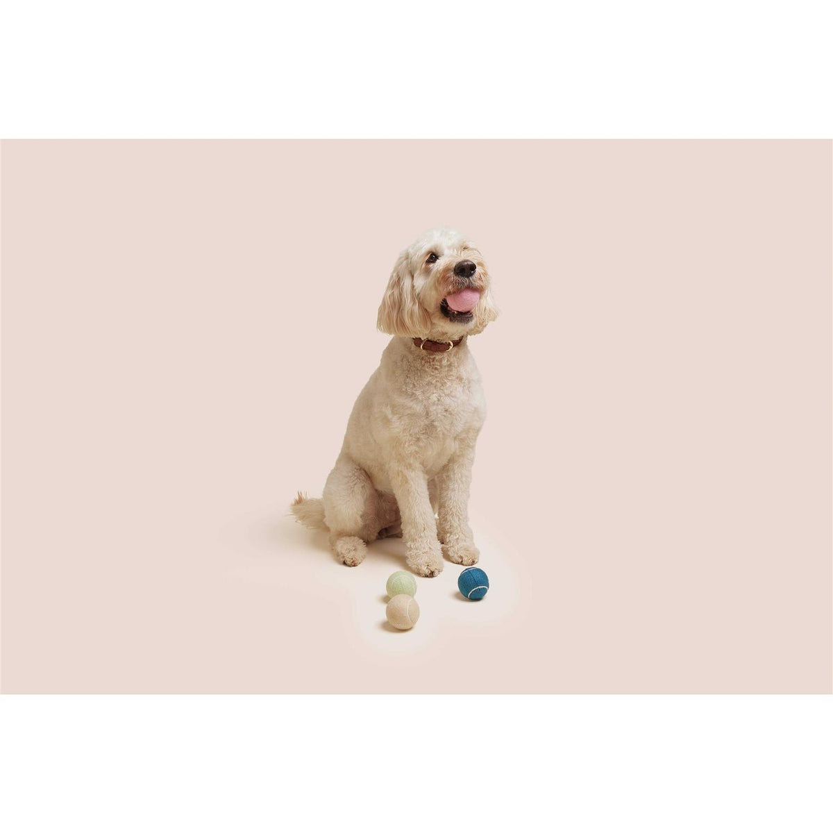 Dog Tennis Balls F7440