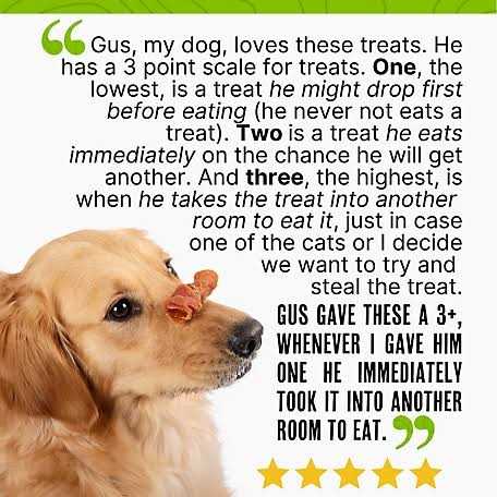 Chicken Jerky Curls Dog Treats T350