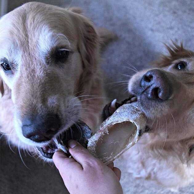 Cow Hooves for Dogs S71084