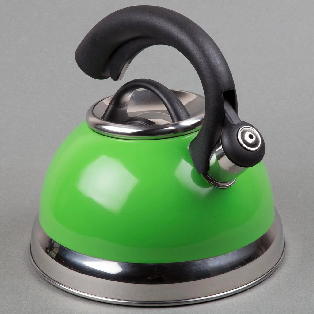 Green Stainless Steel Whistling Tea Kettle 2.6-Quart Q1870