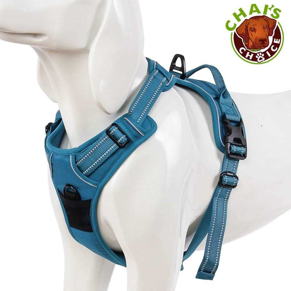Reflective Dog Harness and Leash Z6834