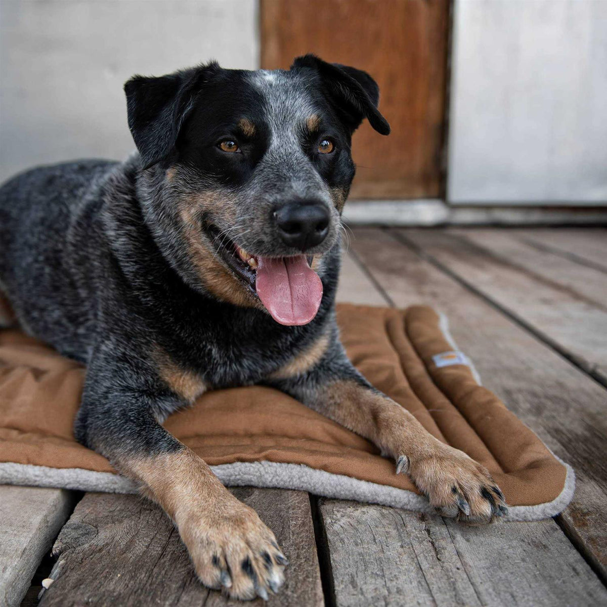Dog Pad M452093