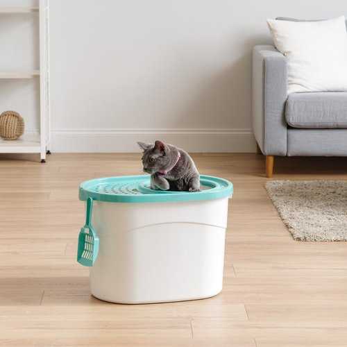 Large Round Top Entry Cat Litter Box & Scoop D111050
