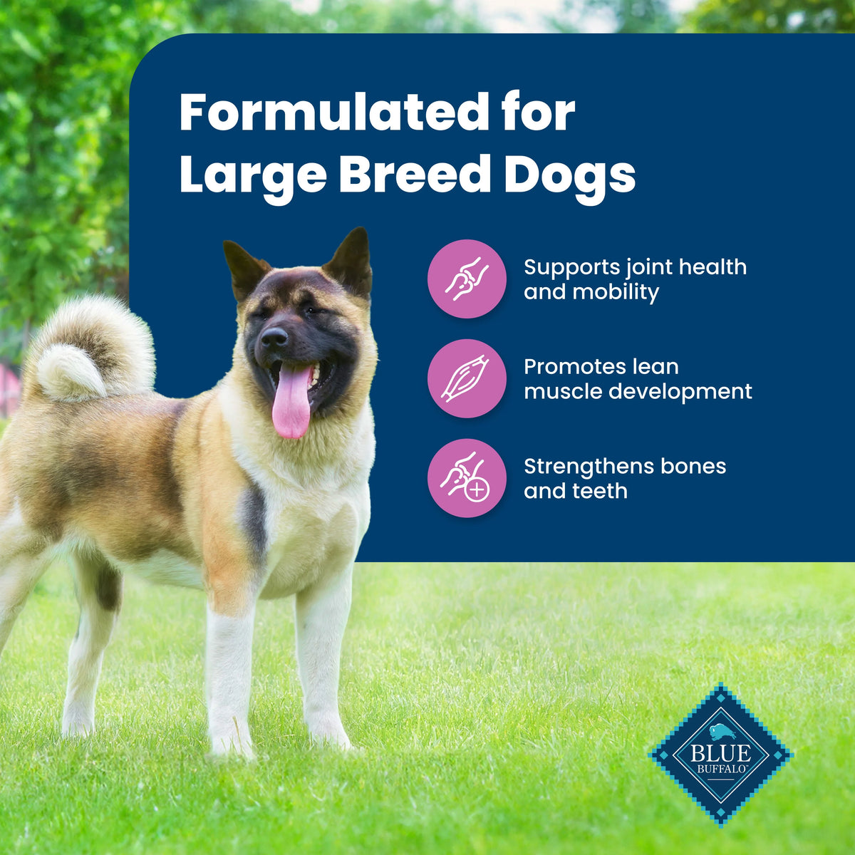 Large Breed Lamb & Rice Dry Dog Food F206