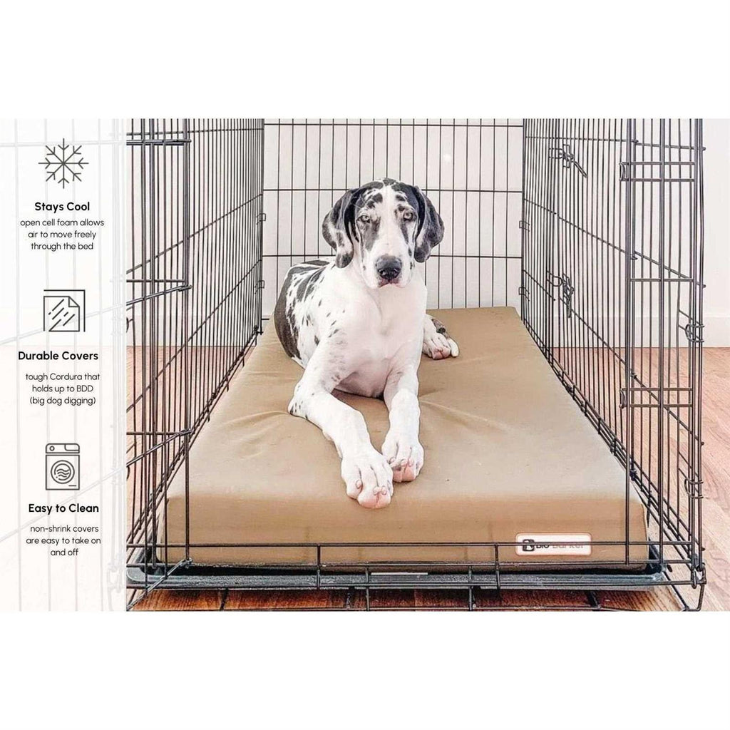 Orthopedic Crate Bed C613325
