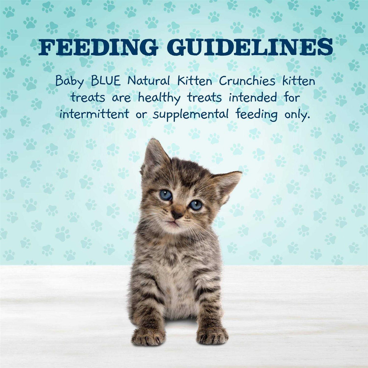 Grain Free Salmon Kitten Treats T457383