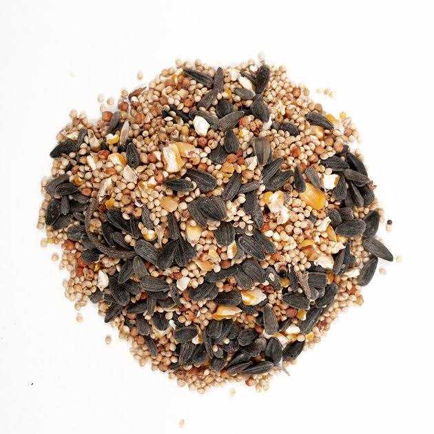 Wild Bird Food O787