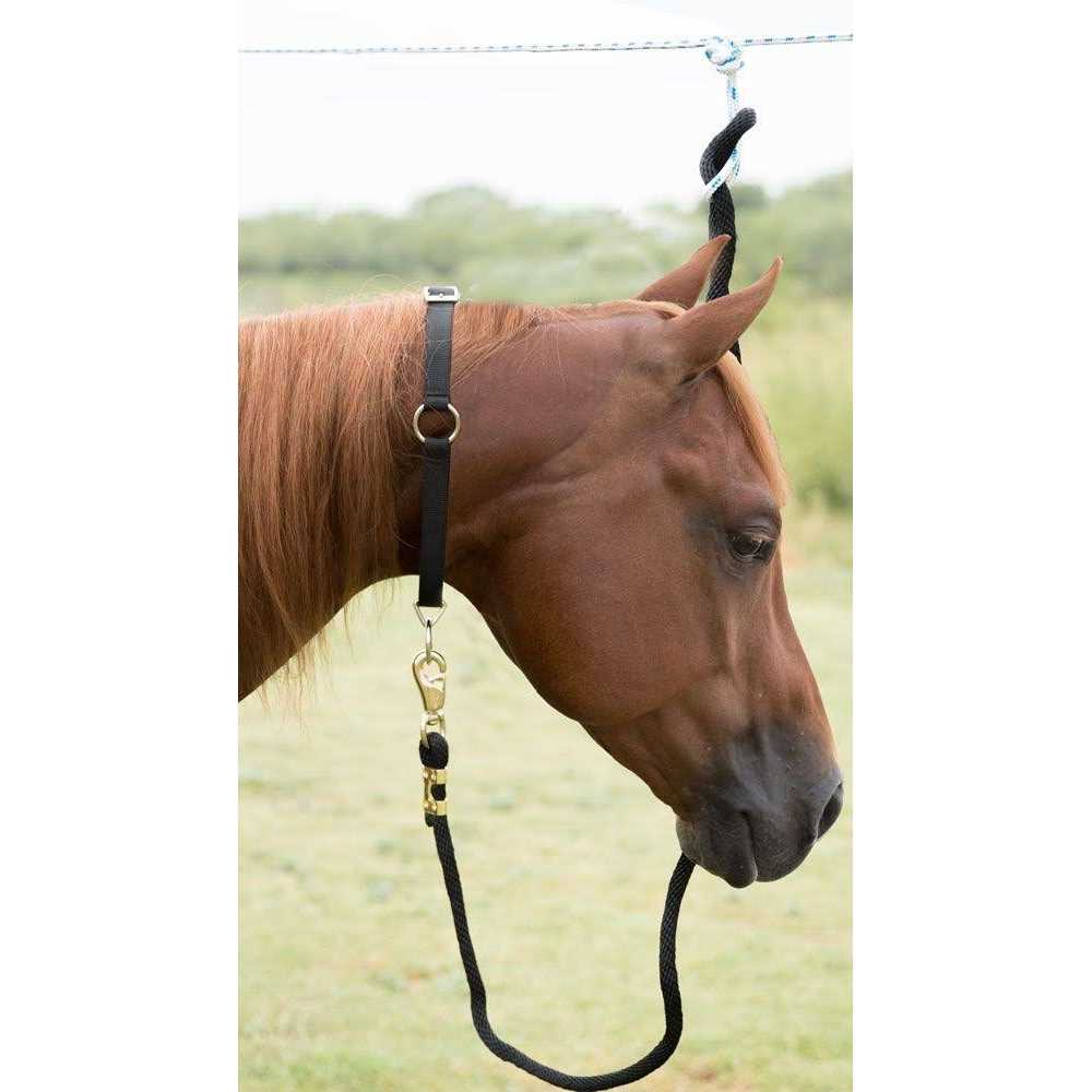 Pet Neck Collar X74323